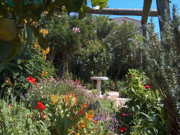 open, sunny area of the garden