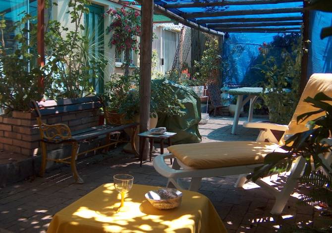 another view of garden area from different angle