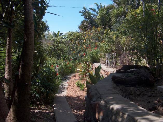 view of the lower part of the garden