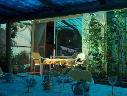 garden area under cool grapevines